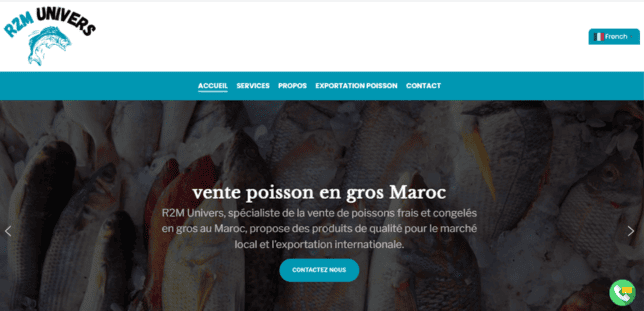 creation site web maroc 